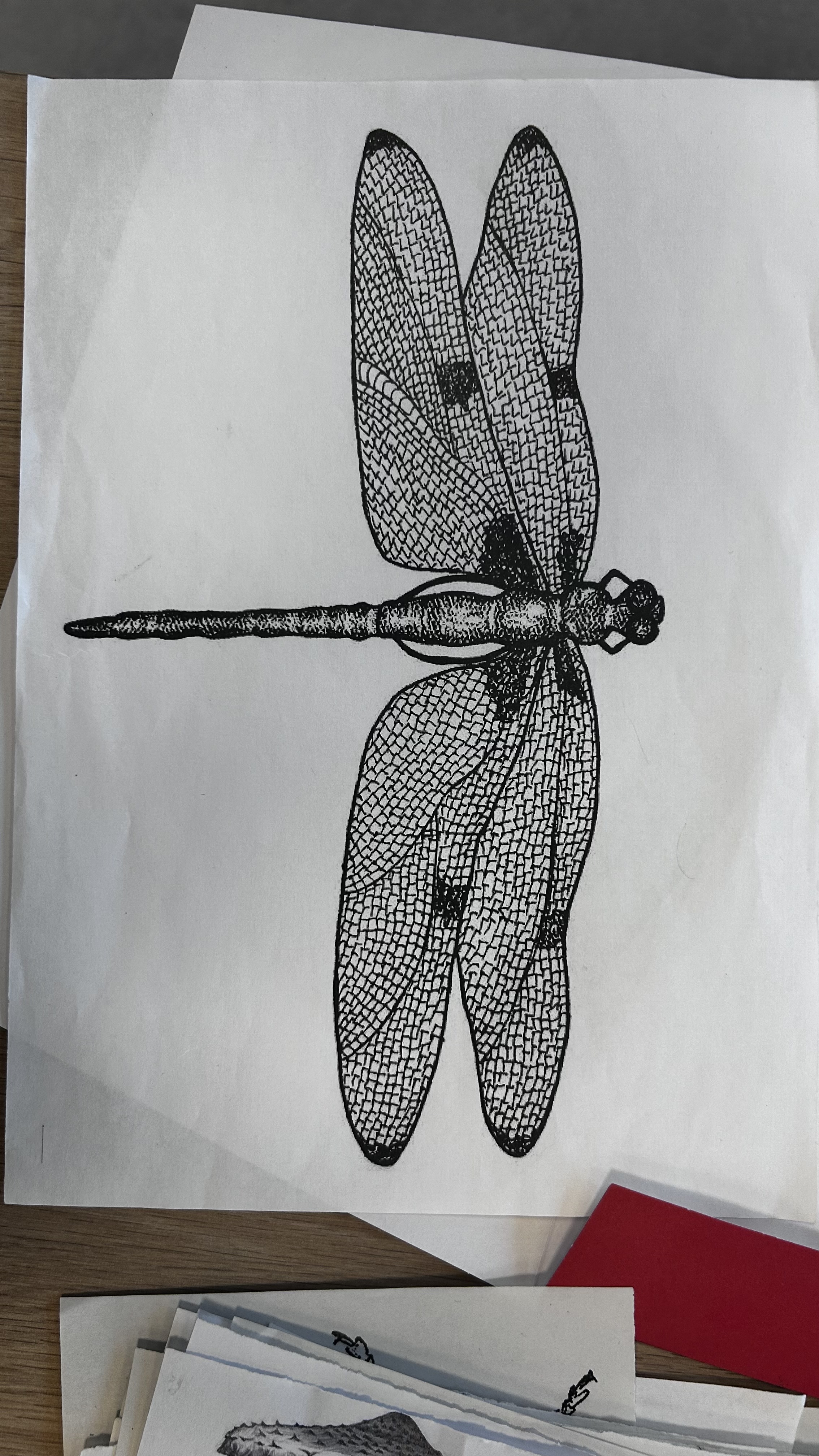 Dessin 1A